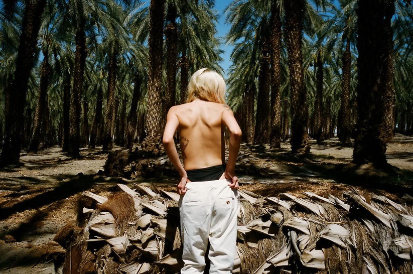 Bryden Jenkins On The Uninhabited Island 14