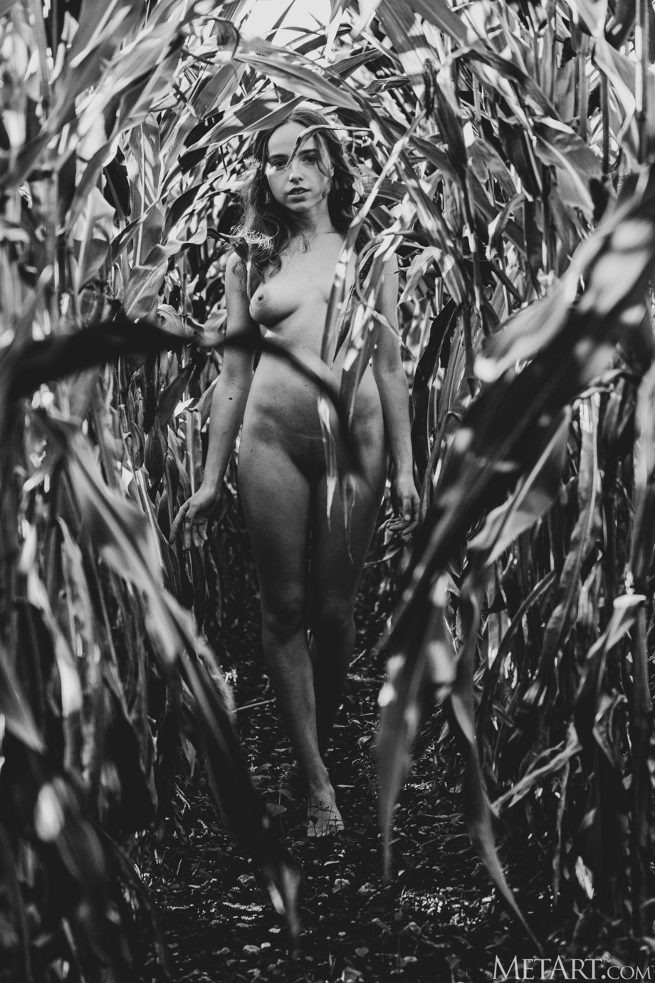 Discover Me 20